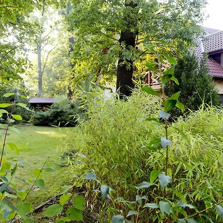 Am Katharinenholz Potsdam