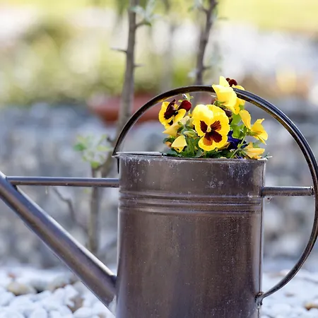 Am Katharinenholz Гостевой дом