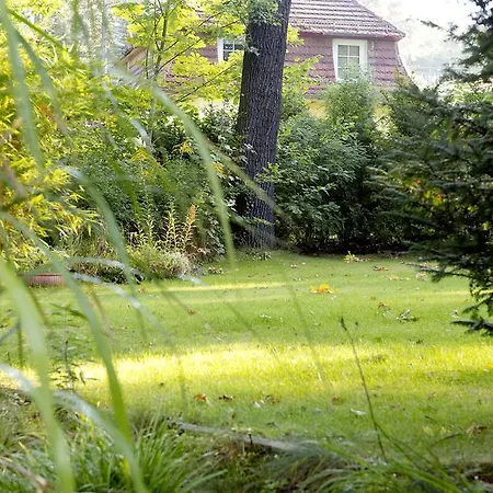 Am Katharinenholz Гостевой дом Потсдам