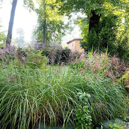Am Katharinenholz Potsdam