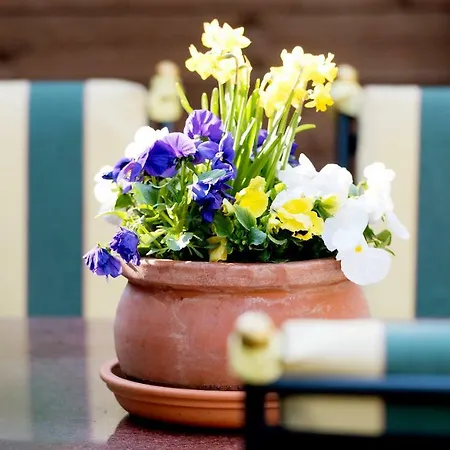 Am Katharinenholz 3*