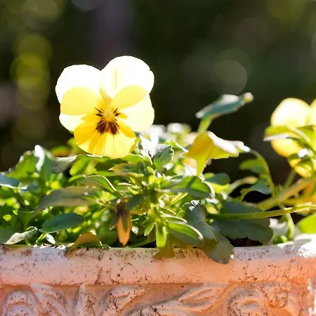 Гостевой дом Am Katharinenholz