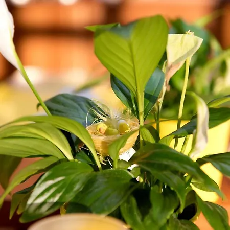 Гостевой дом Am Katharinenholz Потсдам