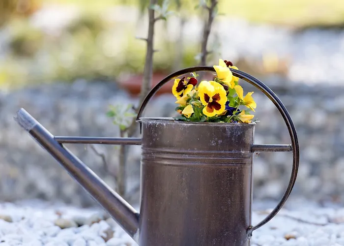 Am Katharinenholz Gasthof