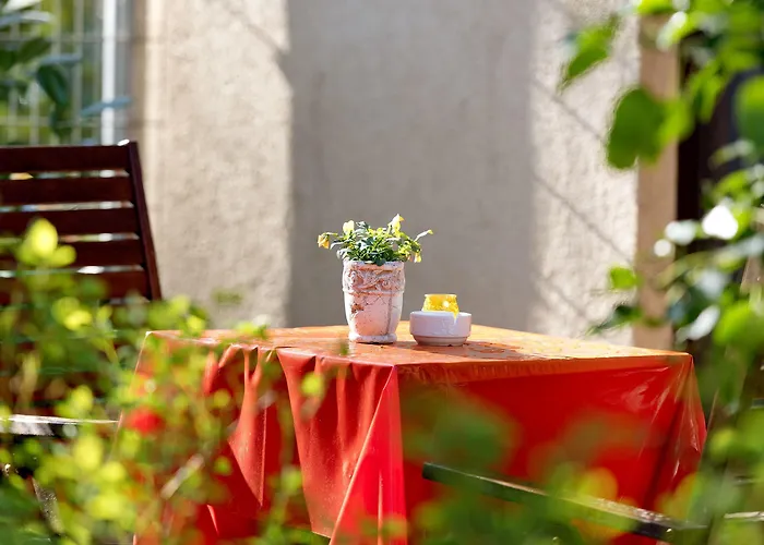 Am Katharinenholz Poczdam