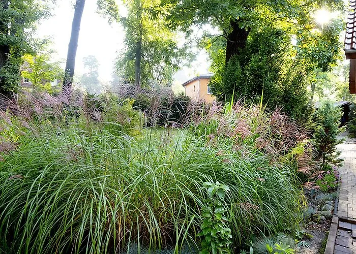 Am Katharinenholz Poczdam