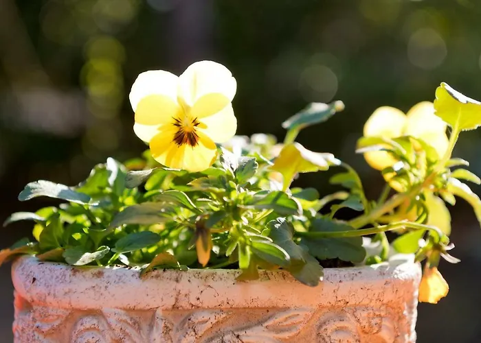 Гостевой дом Am Katharinenholz