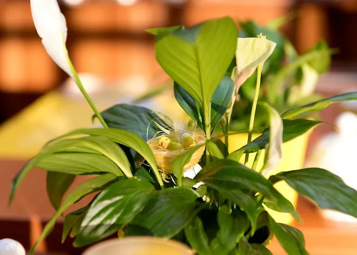 Πανσιόν Am Katharinenholz Πότσδαμ