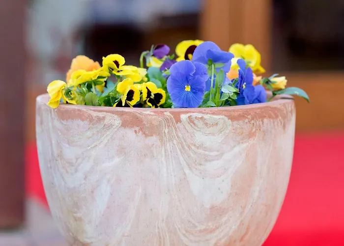 Πανσιόν Am Katharinenholz Πότσδαμ