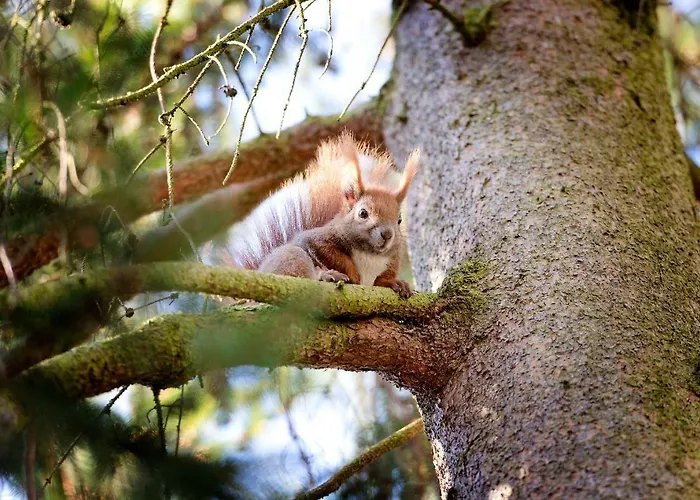 Am Katharinenholz Πανσιόν Πότσδαμ