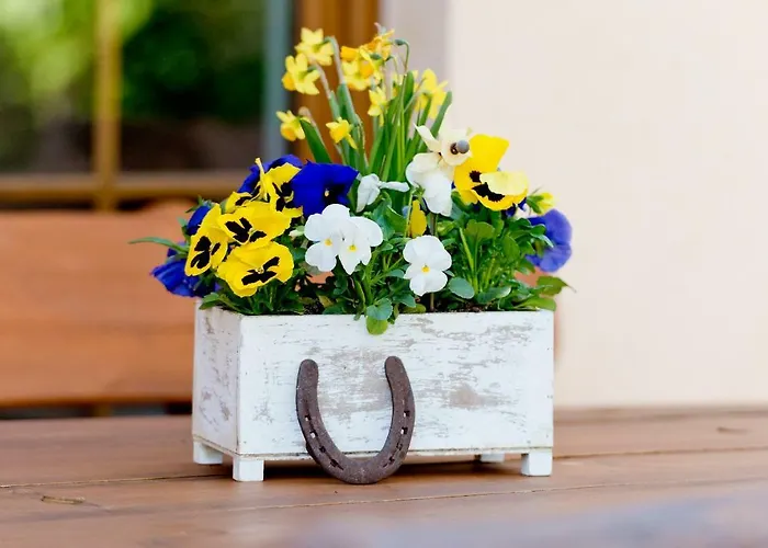 Pensjonat Am Katharinenholz Poczdam