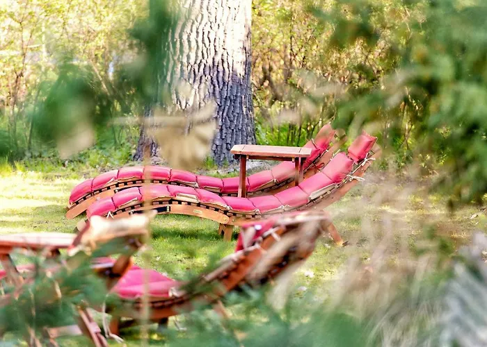 Gasthof Am Katharinenholz 3*